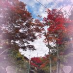 きゅる池袋到着してます🌟