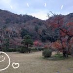 まりねです❣️