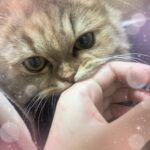 しお到着してます！！