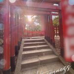 もみじいますよ🍁