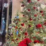 きゅる、到着しました🐾