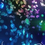 りとです🐰💗