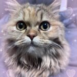 しお到着してます！！