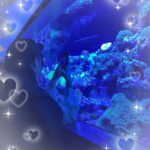 きゅる到着しました🌟