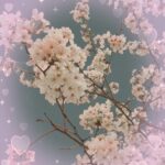 もちです👶🏻