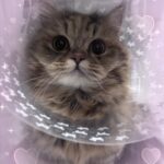 しお到着してます！！