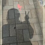 こゆき❄️おれい♡