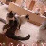 幸せ空間♡