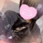 癒してもらってます💕