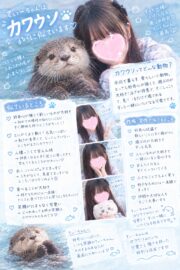 🌟てぃー
