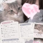 ねこ🐱🐾💕！？