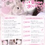 初日記ですっ💌