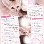 動物診断🐈