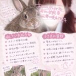 到着してます🐱♡