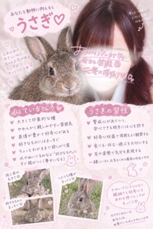 👑にゃん