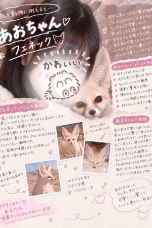 🌟あお