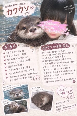 🌟たお