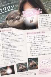 🌟ねお