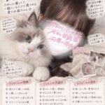 猫ちゃんでした！🐱