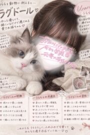 👑うらら