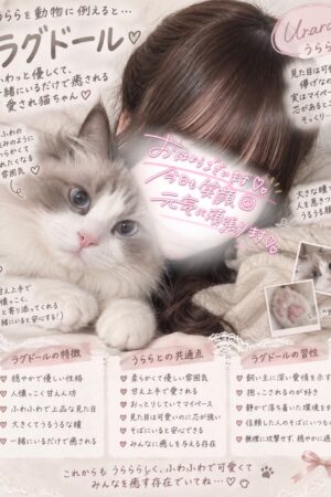 👑うらら