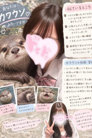👑ことは
