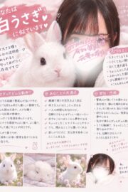 👑みかん