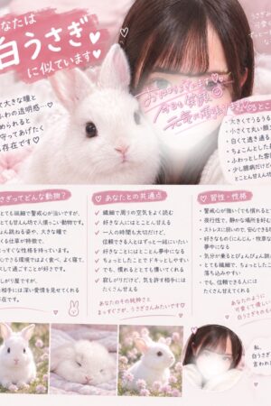 👑みかん