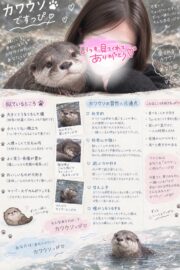 💎こはる