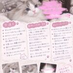 到着しました！