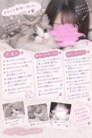 👑ももな