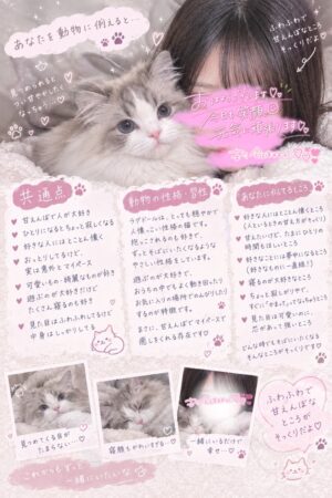 👑ももな