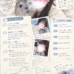 流行りの♡