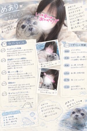 🌟めあり