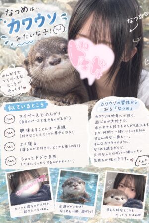 🌟なつめ