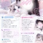 もちです 👶🏻
