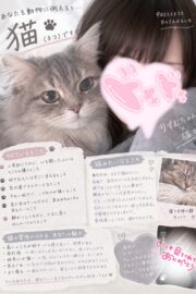🔰りずむ