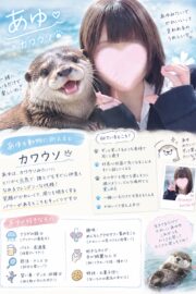 🔰あゆ