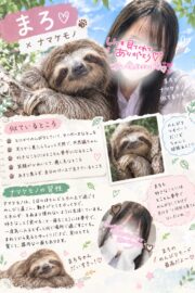 🌟まろ