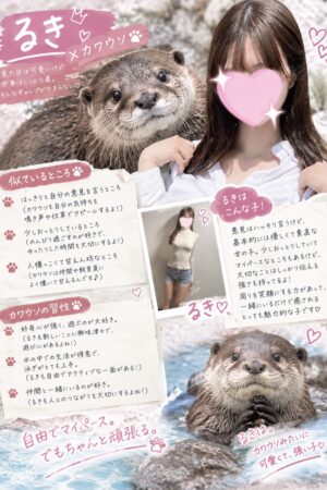 👑るき