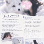 次回もまってるね♡