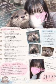 👑みりな