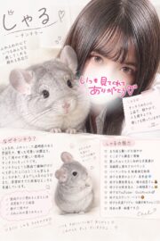 🌟しゃる