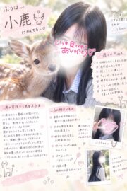 🌟ふう