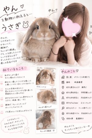 🔰やん