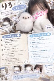🌟りろ