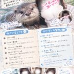 こんにちは！くるです！