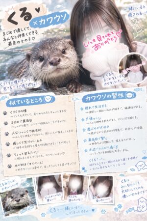 🌟くる