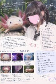 🌟せいな