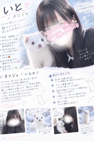 🌟いと